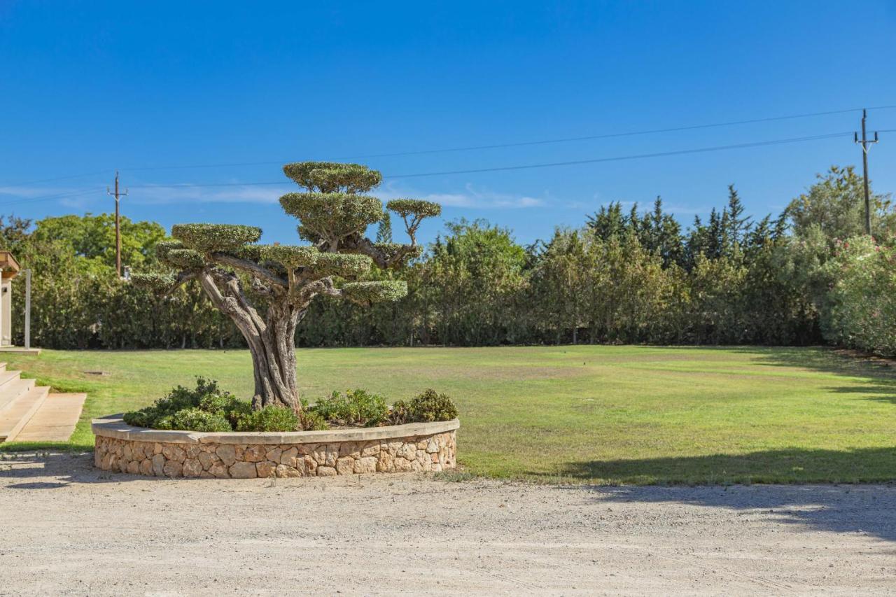 Villa Can Magnus Αλκούδια Εξωτερικό φωτογραφία